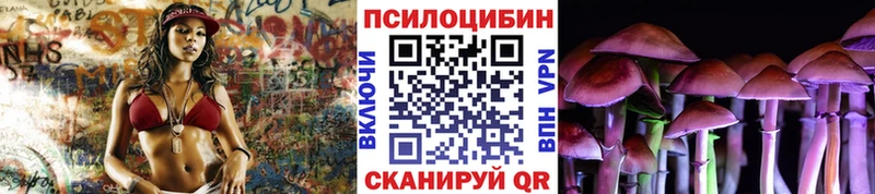 Галлюциногенные грибы MAGIC MUSHROOMS как найти наркотики Кологрив